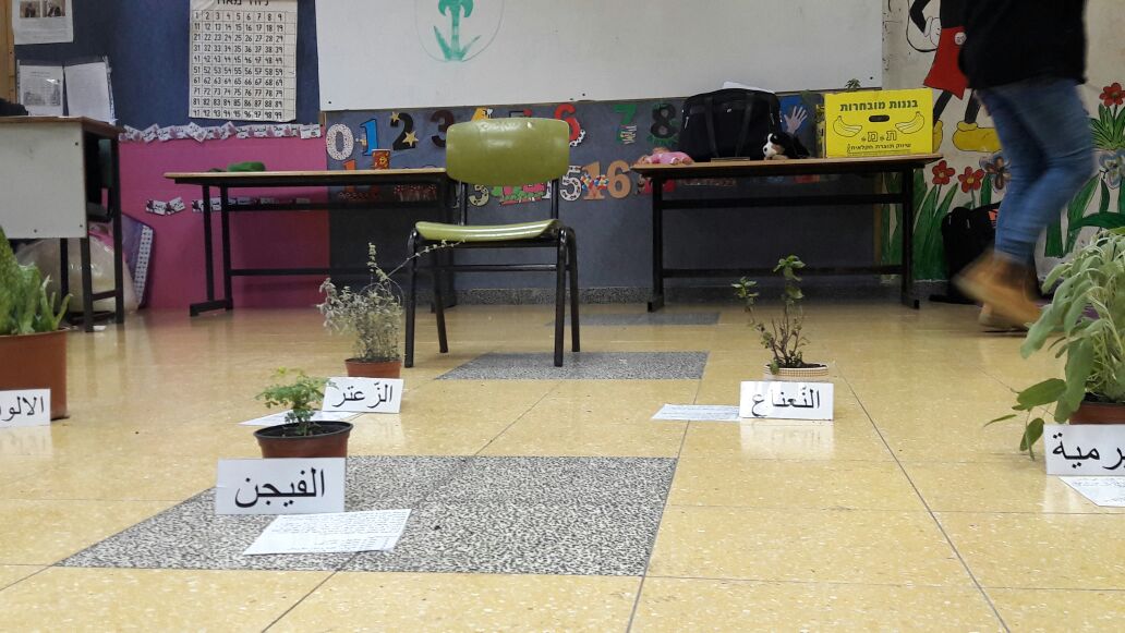جمعيَّة حماية الطَّبيعة تُخاطِب المدرسة الابتدائيّة ا يانوح في يوم قمّة بيئيّ ضمن برنامج التّربية البيئيَّة